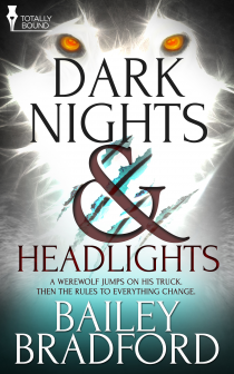 Dark Nights & Headlights Book Cover