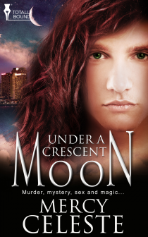Under a Crescent Moon